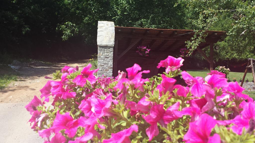 Duracka Reka Villa Ana Marija מראה חיצוני תמונה