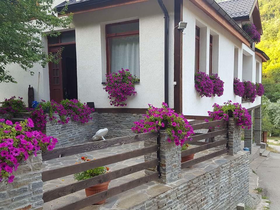 Duracka Reka Villa Ana Marija מראה חיצוני תמונה